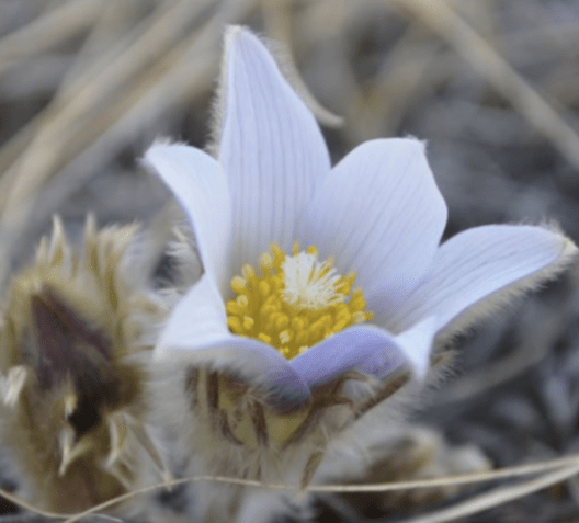 Screen Shot 2020-04-30 at 8.28.25 PM